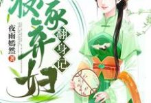 免费在线阅读农家弃妇翻身记小说的正规网站有哪些?-干果文学