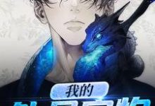 男女主人公叫张大宝董雪柳嫣9527的小说免费资源-干果文学