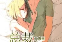 完结版《总裁宠妻无度》免费阅读-干果文学