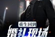 重生回到婚礼现场,先解除婚约宁慕云小说大结局免费试读-干果文学