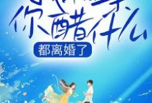 《都离婚了,我相亲你醋什么》小说大结局免费试读 常宁洛商司小说-干果文学