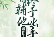 媚骨生香:首辅他终于出手了 凌绾绾赵怀羿小说免费阅读-干果文学