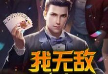 完结版《我无敌,你随意》章节目录在线阅读-干果文学