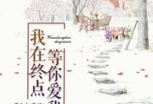 我在终点等你爱我小说有没有完整的免费版本在线阅读?-干果文学