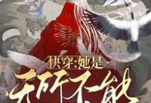 男女主人公子清小说快穿:她是无所不能的神章节免费阅读-干果文学