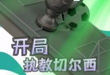 开局执教切尔西小说全文哪里可以免费看?-干果文学