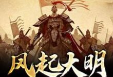 小说《风起大明1449》在线章节阅读-干果文学