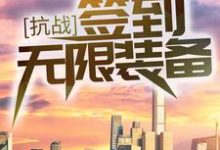 抗战:签到无限装备!章节免费在线阅读,许客完结版-干果文学