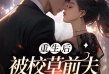 重生后,被校草前夫猛烈倒贴这本小说在哪里可以看?哪里有免费试读章节?-干果文学
