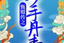 甄嬛传之妙手丹青主角孙妙青胤禛小说完结版章节在线阅读-干果文学