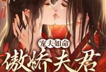 江沉封凝为主角的小说叫什么?免费看宠夫如命:傲娇夫君哪里逃-干果文学