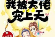 朱宝贝贺戾小说在哪里可以看-干果文学