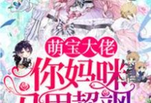 小说《萌宝大佬,你妈咪马甲超飒》在线章节阅读-干果文学