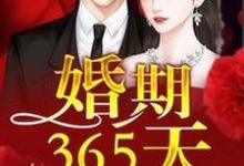 婚期365天慕浅霍靳西叶惜叶璟帆,婚期365天在线无弹窗阅读-干果文学