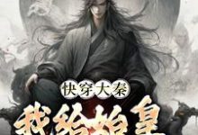 快穿大秦:我给始皇当左相秦牧小说在线章节免费阅读-干果文学