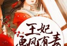 王爷慎入:王妃画风有毒小说有没有完结版在线?-干果文学