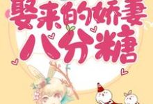 甜蜜诱饵:娶来的娇妻八分糖这本小说怎么样?免费在线阅读试试-干果文学