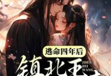 《逃命四年后,镇北王上门认妻》小说章节列表免费试读,云漫漫墨北渊小说在线阅读-干果文学