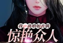 我,离婚如丧偶,惊艳众人过新人生小说,我,离婚如丧偶,惊艳众人过新人生免费阅读-干果文学