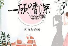 完结版《一顾情深,念念似海》章节阅读-干果文学