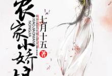 林颜娘安锦云林安东林安南为主角的小说农家小娇娘在线阅读-干果文学