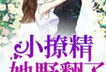小说《豪门团宠:小撩精她野翻了》章节免费阅读-干果文学