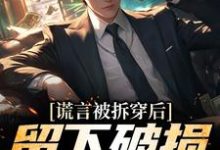 谎言被拆穿后,留下破损的婚姻小说完结了吗?在哪里可以免费读到?-干果文学