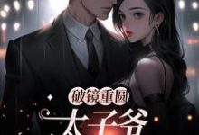 黎念靳宴深小说在线章节免费阅读(破镜重圆:太子爷他太霸道无弹窗无删减)-干果文学