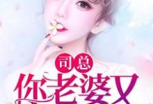 程宁赏司擎琛顾霆北程翩然小说在哪里可以看-干果文学