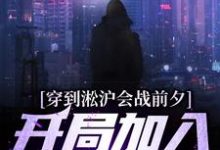 求穿到淞沪会战前夕,开局加入黑风寨小说的全文免费阅读链接-干果文学