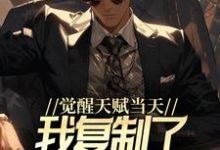 求觉醒天赋当天,我复制了SSS级天赋小说的全文免费阅读链接-干果文学