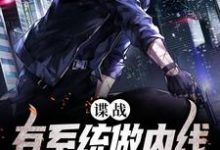 完结版《谍战:有系统做内线,我可以躺赢》章节阅读-干果文学