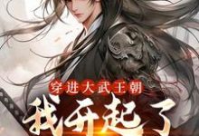 已完结小说《穿进大武王朝,我开起了孤儿院》在线章节阅读-干果文学
