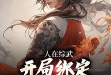 求人在综武,开局绑定嘲讽曝光系统小说的全文免费阅读链接-干果文学