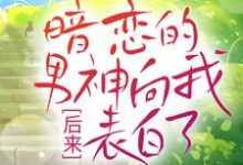 已完结小说《后来,暗恋的男神向我表白了》在线章节阅读-干果文学