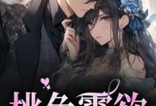 桃色霸欲小说有没有完整的免费版本在线阅读?-干果文学