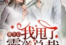免费看重生后我甩了霸道总裁小说的网站有哪些?-干果文学