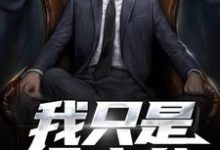 小说《我只是个少爷》章节免费阅读-干果文学