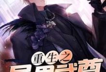 重生之异界武尊小说全文哪里可以免费看?-干果文学