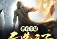 《我真不是天选之子》小说大结局免费试读 欧辰小说-干果文学