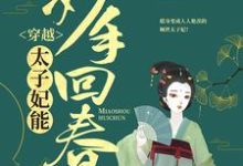 江紫烟南宫昊的故事在哪本书里?免费阅读穿越:太子妃能妙手回春-干果文学