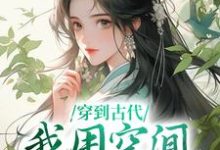 男女主人公 林苑儿陆祈年小说穿到古代,我用空间带飞全家章节免费阅读-干果文学