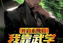 开启系统后,我靠武学国术无敌了小说的所有章节都能在哪里免费读到?-干果文学