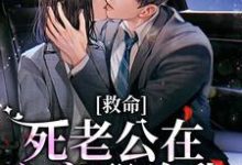 孟昭昭顾明政是哪本书的主角?救命,死老公在心底那啥我免费读-干果文学