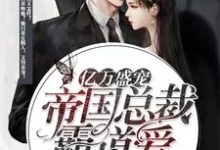 在线搜索夏一涵叶子墨的完整小说,免费阅读亿万盛宠 :帝国总裁霸道爱-干果文学
