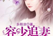 容少追妻花招多小说的免费电子版在哪里可以下载或阅读?-干果文学