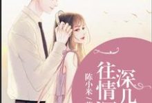 一往情深深几许小说阅读,一往情深深几许完结版-干果文学