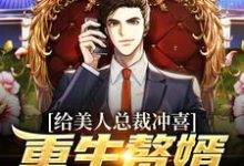 给美人总裁冲喜,重生赘婿最有福沈昭楚清眠,给美人总裁冲喜,重生赘婿最有福小说免费阅读-干果文学