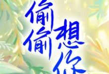 梁江月张柳岭为主角的小说偷偷想你在线阅读-干果文学