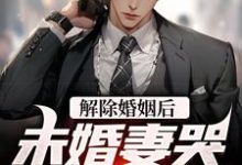 解除婚姻后,未婚妻哭着求复合小说的无弹窗阅读体验,寻找免费阅读网站-干果文学
